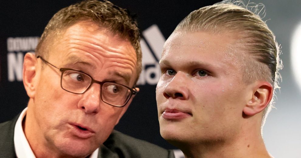 决定了每次 决定了每次